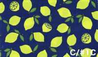 AP65103 Oxford Stampato Fluorescente (Rotolo)[Tessuti / Stoffe] COSMO TEXTILE Immagini aggiuntive