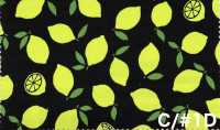 AP65103 Oxford Stampato Fluorescente (Rotolo)[Tessuti / Stoffe] COSMO TEXTILE Immagini aggiuntive