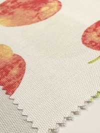 SP2650 Oxford Fruits Garden (Rotolo)[Tessili / Tessuti] COSMO TEXTILE Immagini aggiuntive