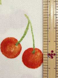 SP2650 Oxford Fruits Garden (Rotolo)[Tessili / Tessuti] COSMO TEXTILE Immagini aggiuntive