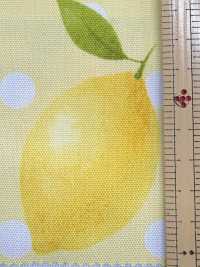 SP2650 Oxford Fruits Garden (Rotolo)[Tessili / Tessuti] COSMO TEXTILE Immagini aggiuntive