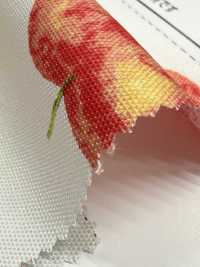 SP2650 Oxford Fruits Garden (Rotolo)[Tessili / Tessuti] COSMO TEXTILE Immagini aggiuntive