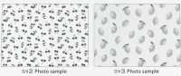 SP2650 Oxford Fruits Garden (Rotolo)[Tessili / Tessuti] COSMO TEXTILE Immagini aggiuntive