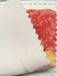 SP2650 Oxford Fruits Garden (Rotolo)[Tessili / Tessuti] COSMO TEXTILE Immagini aggiuntive
