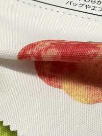 SP2650 Oxford Fruits Garden (Rotolo)[Tessili / Tessuti] COSMO TEXTILE Immagini aggiuntive