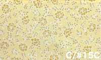 RU2530 RURU BOUQUET Stampa ghirlanda di rose tessuti di tela (rotolo)[Tessili / Tessuti] COSMO TEXTILE Immagini aggiuntive