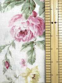 RU2530 RURU BOUQUET Stampa ghirlanda di rose tessuti di tela (rotolo)[Tessili / Tessuti] COSMO TEXTILE Immagini aggiuntive