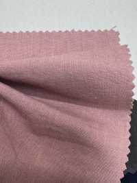 PSW3950 Doppia Armatura Cotone-lino 30/1[Tessuti / Stoffe] KOYAMA Immagini aggiuntive