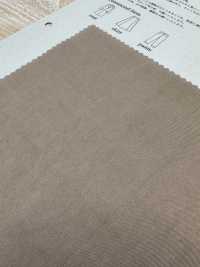 PSW3022 Misto cotone e Tencel ad alta densità Burberry[Tessile / Tessuto] KOYAMA Immagini aggiuntive