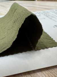 BF4022 Nylon filato tinto in filo anti-piuma[Tessile / Tessuto] KOYAMA Immagini aggiuntive