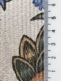 5024-1380-1 Velluto a coste 8W a larghezza ampia botanico[Tessile / Tessuto] HOKKOH Immagini aggiuntive