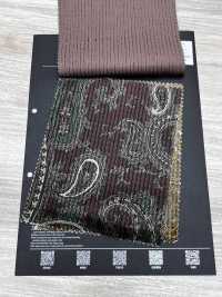 5025-1373-1 Velluto a coste dobby in cotone e rayon con motivo paisley[Tessile / Tessuto] HOKKOH Immagini aggiuntive