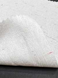 SELV-JQ6 Paisley Jacquard Con Cimossa E Nep Colorato[Tessili / Tessuti] HOKKOH Immagini aggiuntive