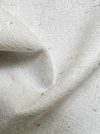 SELV-JQ6 Paisley Jacquard Con Cimossa E Nep Colorato[Tessili / Tessuti] HOKKOH Immagini aggiuntive
