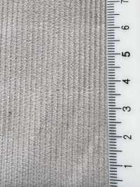 A-8183 14W Velluto a coste tinto allo zolfo[Tessile / Tessuto] Arinobe Shoten Immagini aggiuntive