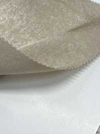 KKF8660FSV-W Silduchin Chira Satin Lavorazione FSV[Tessili / Tessuti] Uni Textile (Komon Kobo) Immagini aggiuntive