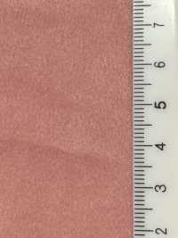 T43558 Scamosciato in poliestere < TORAY Tetoron (finitura in poliuretano)>[Tessile / Tessuto] Kumoi Beauty Immagini aggiuntive