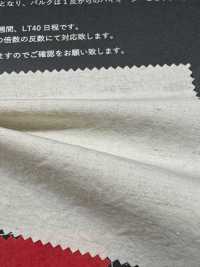 FJ430000 Tessuto typewriter in cotone/lino HIYORI, trama Hamakaze[Tessili / Tessuti] Fujisaki Textile Immagini aggiuntive