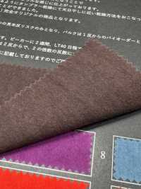 FJ430030 HIYORI Cotone 80/Typewriter Hamakaze[Tessili / Tessuti] Fujisaki Textile Immagini aggiuntive