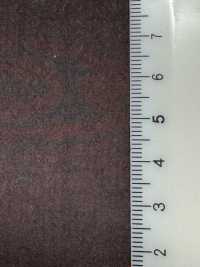 FJ430030 HIYORI Cotone 80/Typewriter Hamakaze[Tessili / Tessuti] Fujisaki Textile Immagini aggiuntive