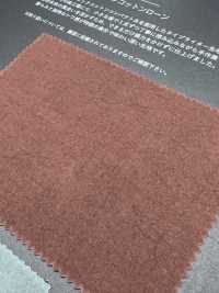 FJ6095 HIYORI Batista di cotone biologico[Tessili / Tessuti] Fujisaki Textile Immagini aggiuntive