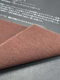 FJ6095 HIYORI Batista di cotone biologico[Tessili / Tessuti] Fujisaki Textile Immagini aggiuntive