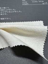 FJ3031 HIYORI Popeline in cotone e lana[Tessili / Tessuti] Fujisaki Textile Immagini aggiuntive