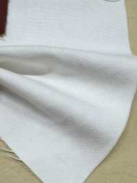 BD7677-P Duck tedesco finitura Bio Wash[Tessili / Tessuti] COSMO TEXTILE Immagini aggiuntive
