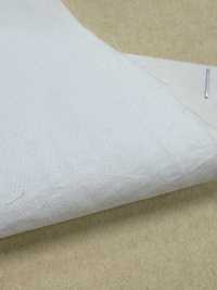 BD6940-P 60 Cotone Supima X Nylon Typewriter Omi PFD[Tessili / Tessuti] COSMO TEXTILE Immagini aggiuntive
