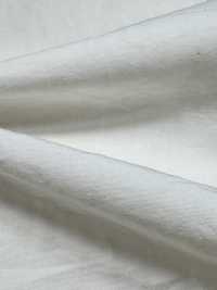 BD6940-P 60 Cotone Supima X Nylon Typewriter Omi PFD[Tessili / Tessuti] COSMO TEXTILE Immagini aggiuntive