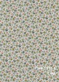 7026-1610-6 60 Batista 9088 Mini Margaret[Tessile / Tessuto] HOKKOH Immagini aggiuntive