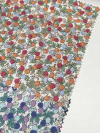 28128 Batista a filo singolo 60s con piccola stampa floreale[Tessili / Tessuti] SUNWELL Immagini aggiuntive