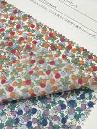 28128 Batista a filo singolo 60s con piccola stampa floreale[Tessili / Tessuti] SUNWELL Immagini aggiuntive