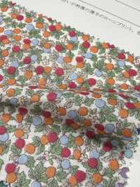 28128 Batista a filo singolo 60s con piccola stampa floreale[Tessili / Tessuti] SUNWELL Immagini aggiuntive