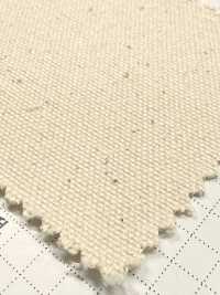 FKB09 Fujikinbai Canvas di cotone n. 9 greige[Tessili / Tessuti] Fujikinbai Immagini aggiuntive