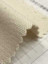 FKB10 Fujikinbai Canvas in cotone n. 10 greige[Tessili / Tessuti] Fujikinbai Immagini aggiuntive