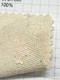 FKB11 Fujikinbai Tela canvas di cotone n. 11, non rifinita[Tessili / Tessuti] Fujikinbai Immagini aggiuntive