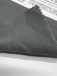ORF72485 Filato ad alta torsione × lino, gabardine rigida in cotone-lino[Tessili / Tessuti] Oharayaseni Immagini aggiuntive