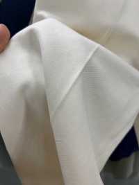 BD7252 Numero Di Prodotto Consigliato Dal Lavoratore Francese Serge PTJ[Tessile / Tessuto] COSMO TEXTILE Foto secondaria