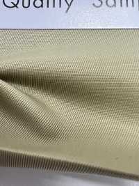 GR501 Grande Twill[Tessile / Tessuto] Masuda Sottofoto