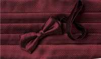 CM-987 Motore Di Motivo A Punto Muschio Jacquard Di Seta Domestica[Accessori Formali] Yamamoto(EXCY) Sottofoto