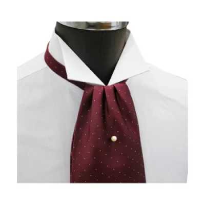 FAS-922 Cravatta ascot, bordeaux con micro pois bianchi