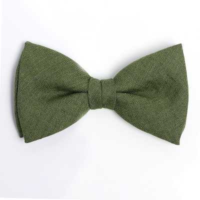 HBF-03 HARISSONS Papillon in lino verde