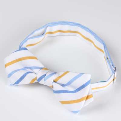 RBF-6258-11 Papillon casual a righe sottili bianco/giallo