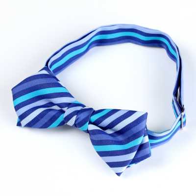 RBF-7011-80 Papillon casual blu multiriga