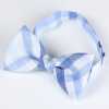 RBF-7047-10 Papillon casual a quadri a blocchi blu/bianco