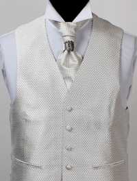 V-902 Gilet Formale Jacquard Di Seta Motivo Piccolo Argento[Accessori Formali] Yamamoto(EXCY) Sottofoto