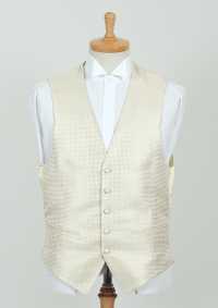 VANNERS-V-011 VANNERS Gilet Formale Pied De Poule Champagne Gold[Accessori Formali] Yamamoto(EXCY) Sottofoto