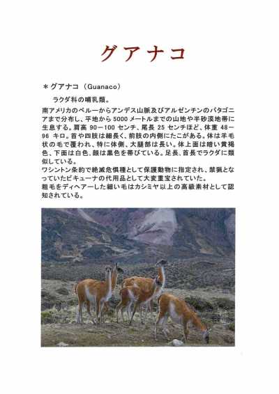 1676 Tessuto Fukaki Tessuto Made In Japan Misto Cashmere Guanaco[Tessile] FUKAKI Sottofoto