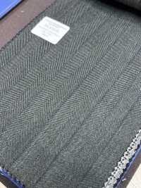 55CN5529 CANONICO TRADITIONAL WORSTED 21μ Striscia Verde Scuro[Tessile] CANONICO Sottofoto
